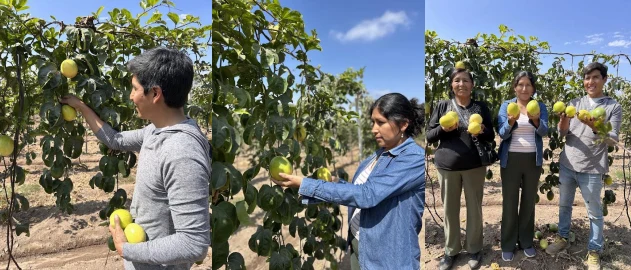 Visita a los campos de cultivo del Fundo San Ricardo